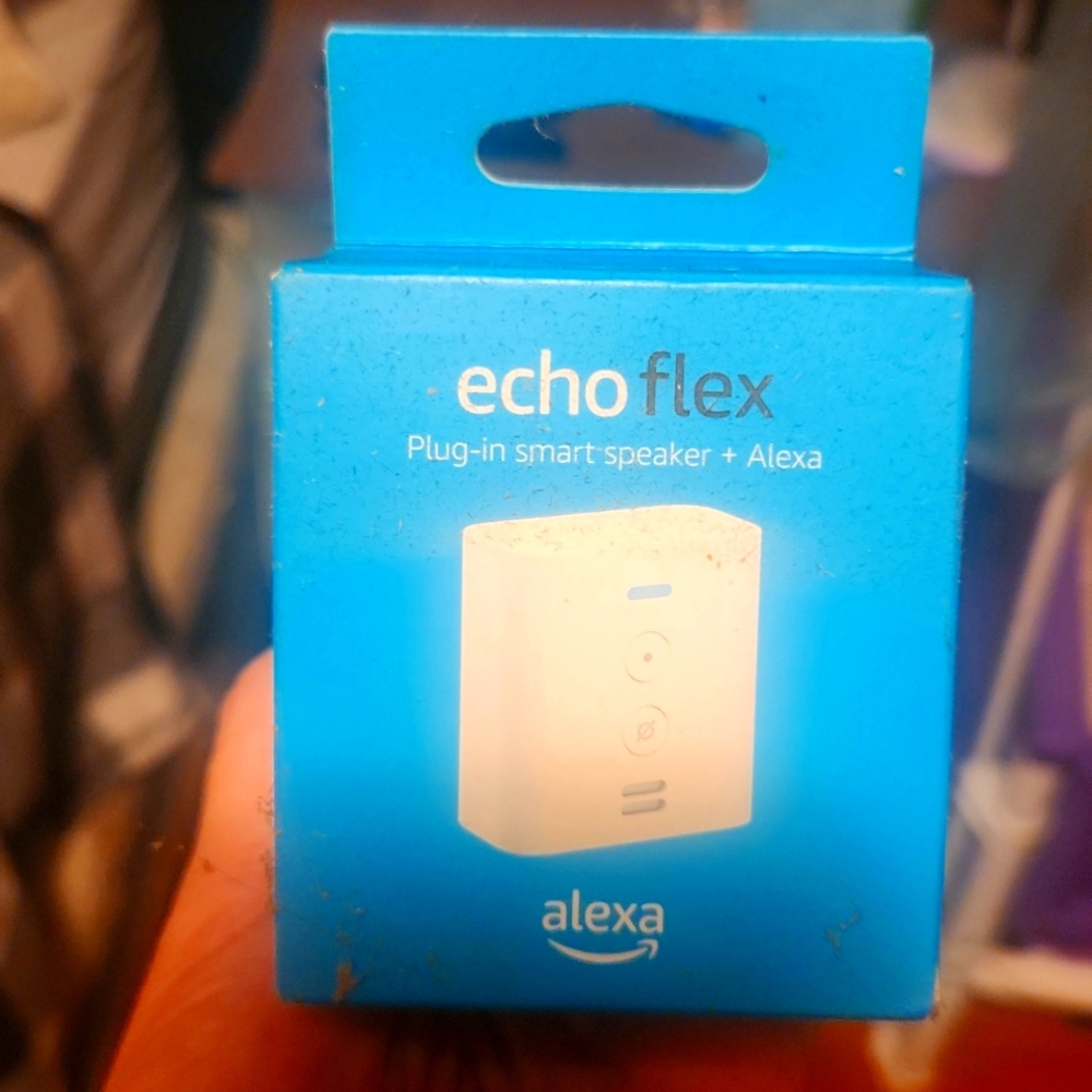 Alexa echo flex